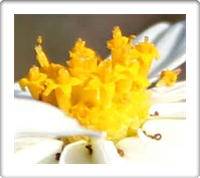 Austin Classes For Couples